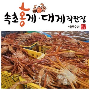 [속초 수율보장 홍게] 예원수산 제철홍게 라면용홍게 자숙(찜) 홍게택배, 생물(활) 정품홍게 3kg, 1박스