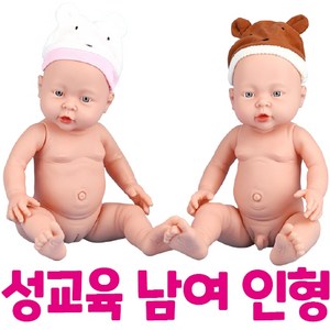 코레샵 성교육 인형 남녀세트, 혼합 색상, 1개