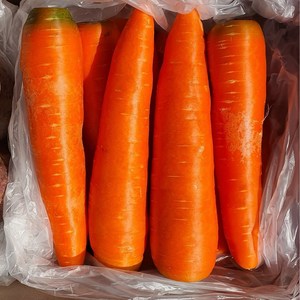 자주 찾는 필수 야채 세척당근 carrot 직접선별 이중 박스포장, 5kg (개당300g내외), 1개