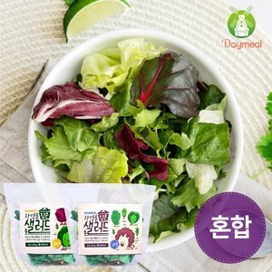 데이밀 자연을담은 샐러드 실속 혼합구성 100g 국내산 야채믹스, 흑임자드레싱 7개, 7개