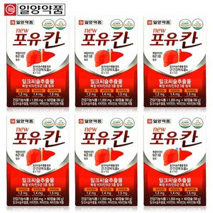 일양약품 포유칸 간 건강기능식품 밀크씨슬 비타민B군, 6개, 60g