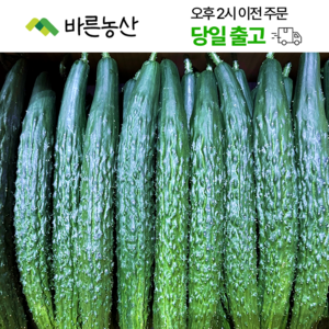 < 바른농산 > 국내산 오이 가시오이 청오이 특품, 1개, 10kg