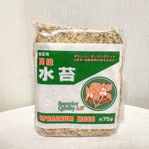 고급 수태 75g, 1개