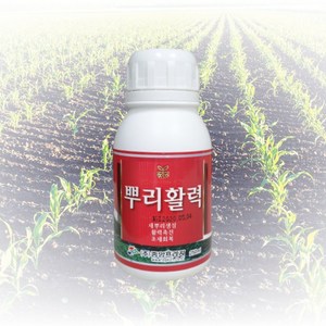 농사친구 뿌리 발근제 뿌리활력 250ml 비료 영양제 아쿠도 루핸스 잘자람, 1개