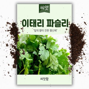 이탈리안 파슬리 씨앗(200립), 1개