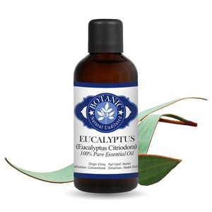 보타닉잉글랜드 아로마에센셜 오일 유칼립투스 시트리오도라 100ml 시트리오디올 레몬 유칼립투스, 1개