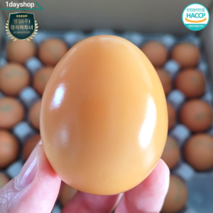 원데이샵 원데이 구운란 30구, 1개