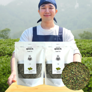 1+1 반듯한청년 페퍼민트 티 100g 2봉 리필팩 차, 1개입, 2개, 1+1 반듯한청년 페퍼민트 티 100g 2봉 차 리필팩