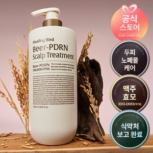 [탈모증상완화 기능성] 힐링버드 비어 PDRN 두피 트리트먼트 대용량, 1개, 1L