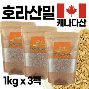 에코홀릭 호라산밀 캐나다산 1kgX3팩 고대곡물 착한탄수화물 + 마스크팩 사은품 증정, 1kg, 3개