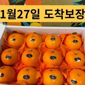 당도선별 고당도 천혜향, 1개, 3kg