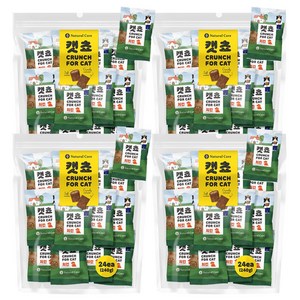 네츄럴코어 고양이간식 캣쵸 1000g, 치킨, 1kg, 1개