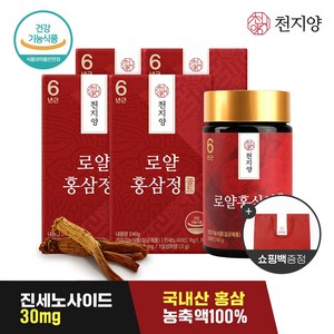 천지양 6년근 로얄 홍삼정 골드240g, 240g, 4개