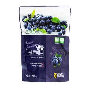 웰루츠 국내산 무농약 냉동 블루베리, 500g, 1개