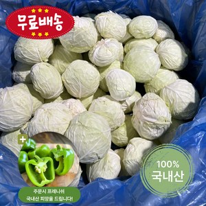 프레니쉬 달고 아삭한 국내산 양배추(1인양배추/6kg/9kg내외 1BOX), 9kg, 1박스