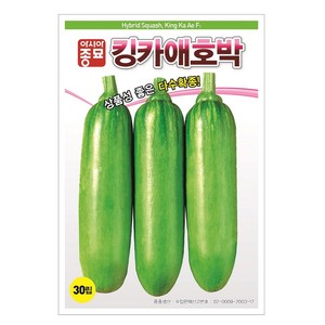 솔림텃밭몰 애호박씨앗 30립 킹카애호박 호박씨앗 다수확종, 1개