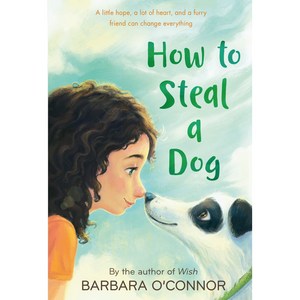 How to Steal a Dog:- '개를 훔치는 완벽한 방법' 원작 소설, Squae Fish