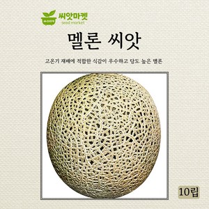 다농 멜론 씨앗 10립, 1개