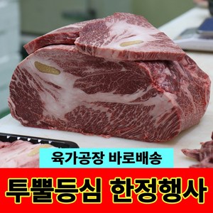[한우공장] 1++(7 8) 한우 투뿔등심 육가공장 바로배송, 1개, 200g