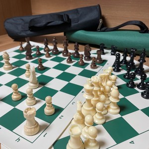 체스퀸 14인치 미니 체스세트 원목기물, 플라스틱+블랙 케이스