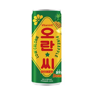 동아오츠카 오란씨 파인애플 캔, 250ml, 30개