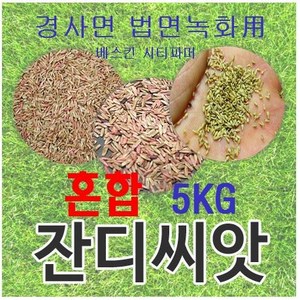 [경사면용/무료배송] 혼합양잔디씨앗 5kg 약50평 무료배송/발아율 80%이상/혼합풀씨 혼합종자 잔디씨 양잔디씨 잔디씨앗 법면녹화 사방공사, 5개