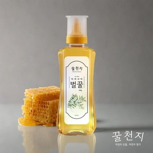 [꿀천지] 아카시아꿀 국내산 100% 벌꿀, 2개, 500g