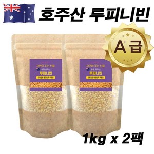 에코홀릭 루피니빈 호주산 루피니빈콩 루핀콩, 2개, 1kg