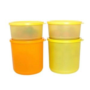 타파웨어 Tupperware 타파웨어 싱싱블록 냉동용기 4 종 세트1.1L x 2p+530mL x 2p, 1세트