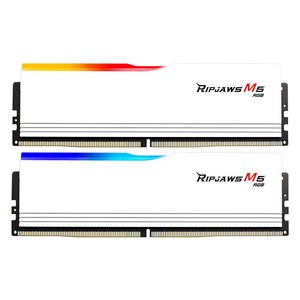 G.SKILL DDR5-6000 CL30 RIPJAWS M5 RGB 화이트 패키지 (32GB(16Gx2)), 2개