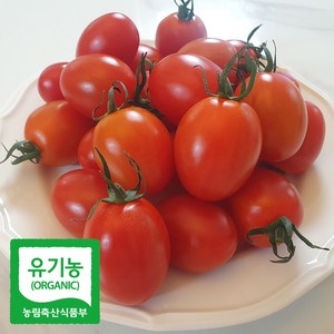 초록초록팜 유기농 대추 방울 토마토 친환경 방토 1kg (500g x 2팩) 2kg 3kg 5kg, 1개
