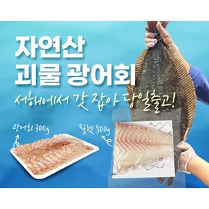 [우리카세] 국내산 자연산 괴물 광어회 초장포함 (광어회 필렛), 1개, 필렛 500g