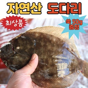 (최상품) 삼천포 봄도다리 자연산 급냉 생물 손질 생선 도다리 생도다리 쑥국 쑥 도다리국 도다리탕 밀키트 세트, 1개