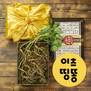 프리미엄 고급포장 장뇌삼 산양삼 5-6년근 12뿌리