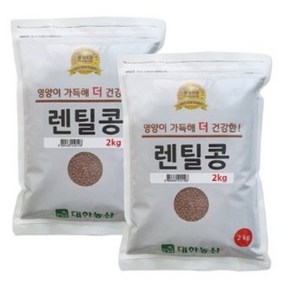 대한농산 렌틸콩, 2kg, 2개