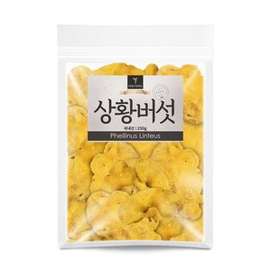 퓨어영 상황버섯 250g 국내산, 1개