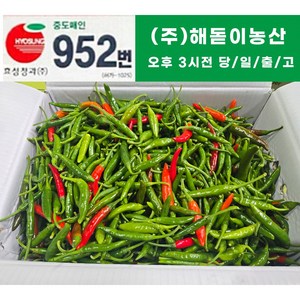 해돋이농산 국내산 청양고추 매운고추 못난이고추 1kg 2kg 3kg 5kg 10kg(반홍), 10kg, 1개