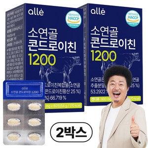 알레 소연골 콘드로이친 1200 식약처 인증 HACCP, 2박스, 60정