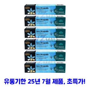 호주 정품 콤비타 프로폴리스 치약 100g 6팩 리뉴얼 후레쉬민트 Freshmint, 6개, 100ml