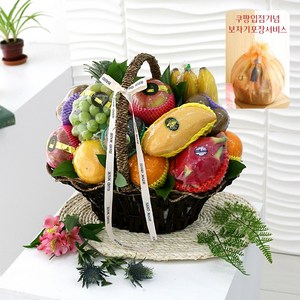 [ 과일바구니 ] 축하B 당일발송 과일선물 감사선물 축하선물 생일 승진 병문안 상견례 집들이선물 백일선물 과일세트 과일박스디자인