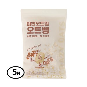 미친오트밀 오트뻥 뻥튀기, 5개, 100g