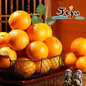 24년 올탑농원 국산오렌지 과즙이 풍부한 청견 랜덤과 1.5kg/2.5kg/4.5kg (실중량), 국산오렌지 청견 1.5kg 랜덤과, 1박스