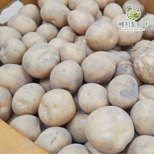 [업소용 대용량]25년 햇감자 수미 알감자 휴게소 감자 중 조림사이즈 5kg 10kg 20kg, 1박스, 중(휴게소 알감자) 5kg