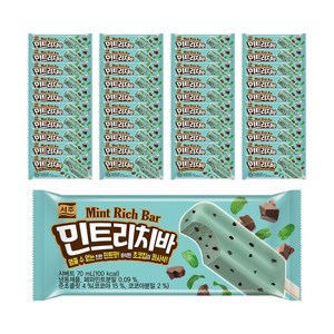 서주 민트리치바 40개 한박스 아이스크림, 70ml