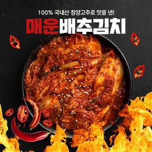 경자네 전라도 국내산 청양 실비 매운 배추 포기김치, 1개, 1kg