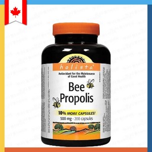 홀리스타 비 프로폴리스 500mg 200 캡슐 Holista bee popolis, 1개, 200정