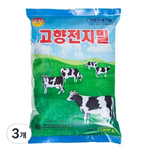 고향 차, 1kg, 3개