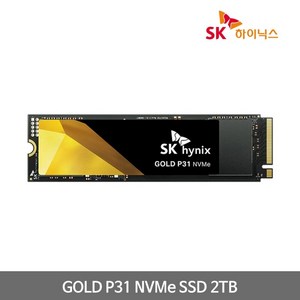 SK하이닉스 Gold P31 M.2 NVMe 2TB