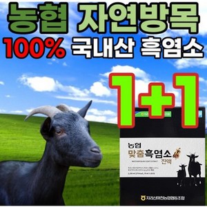 충북인삼농협 맞춤 흑염소진액 30포 + 쇼핑백, 2.1L, 2개