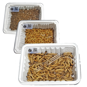 [특별행사] nb밀웜 살아있는 밀웜 - 일반밀웜 슈퍼밀웜 버팔로웜, 1.일반밀웜, 대(2.5cm 전후), 500+500마리, 1세트